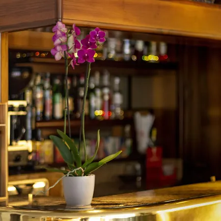 Hotel Desiree By Double Hospitality 3*