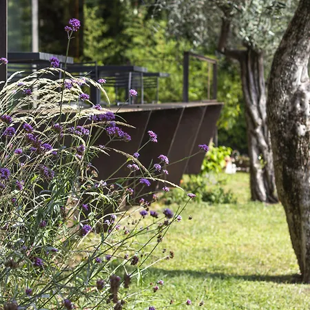 Désirée - Garda Collection